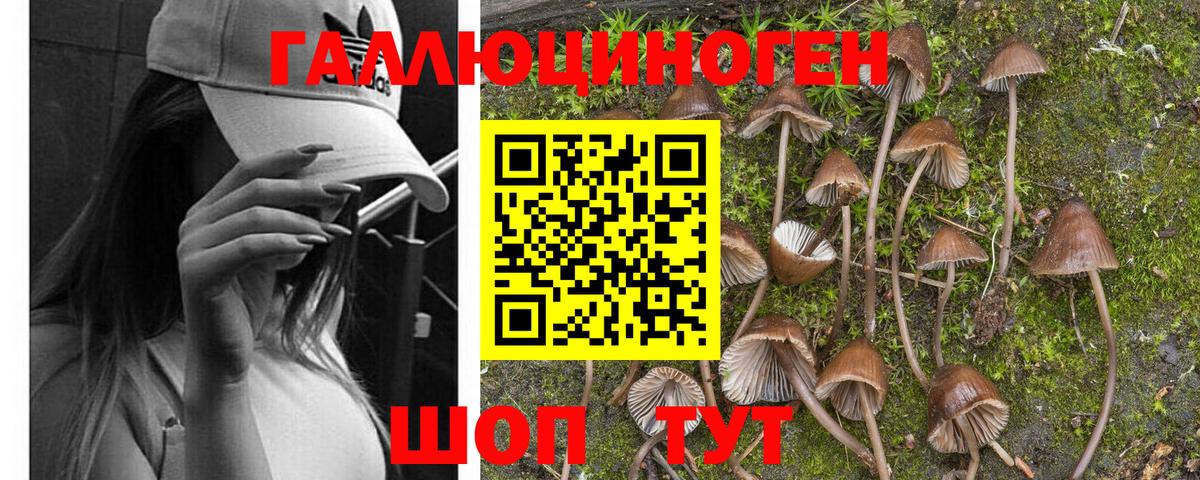 Псилоцибиновые грибы GOLDEN TEACHER Ханты-Мансийск